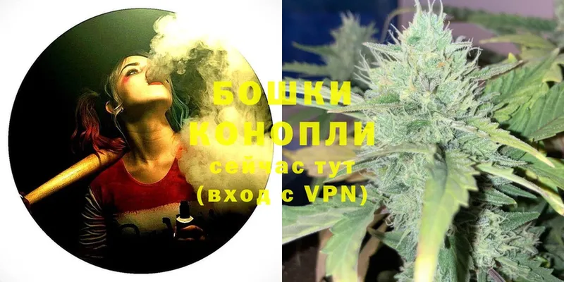 Каннабис SATIVA & INDICA  закладка  Карабулак 